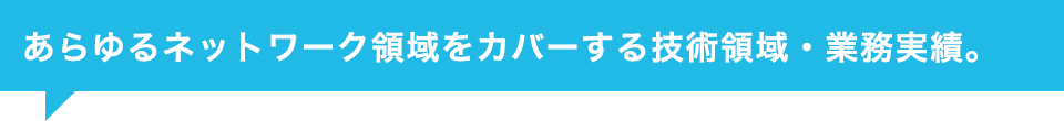 あらゆるネットワーク領域をカバーする技術領域・業務実績。