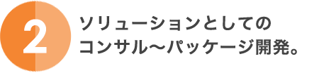 2.ソリューションとしてのコンサル～パッケージ開発。
