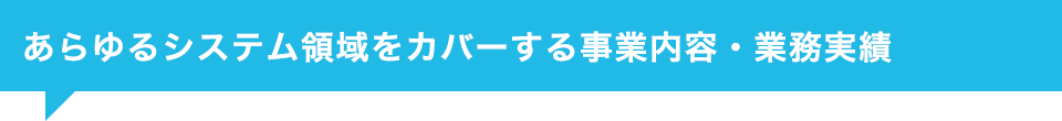 あらゆるシステム領域をカバーする事業内容・業務実績